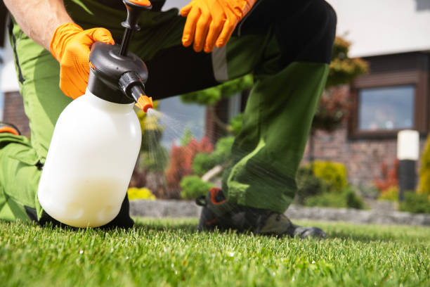 Best Bed Bug Extermination  in Crescent City, FL