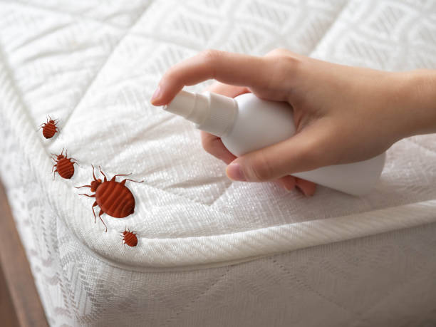  Crescent City, FL Pest Control Pros