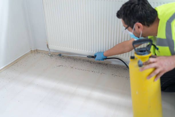 Best Affordable Pest Control Services  in Crescent City, FL