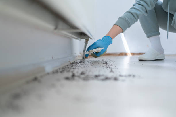 Crescent City, FL Pest Control Company